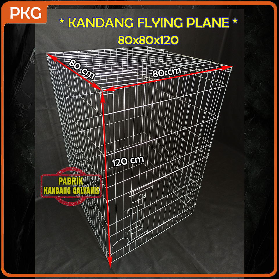 Kandang Ayam Flying Plane Galvanis 80x80x120 cm Kurungan Jago Tenggaran Lipat
