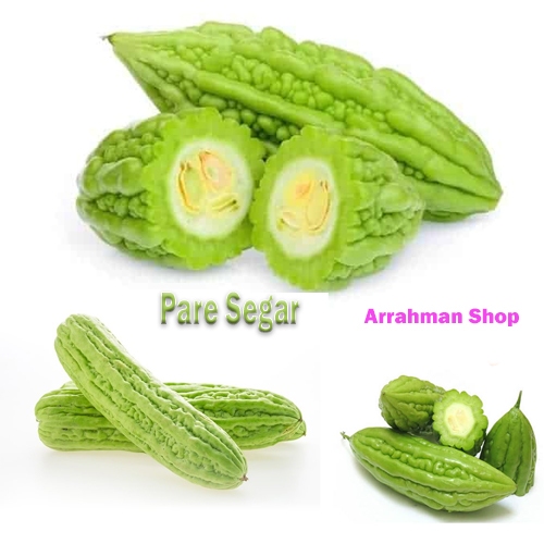 

Pare Segar Murah 500 gram - sayur pare fresh sayur segar