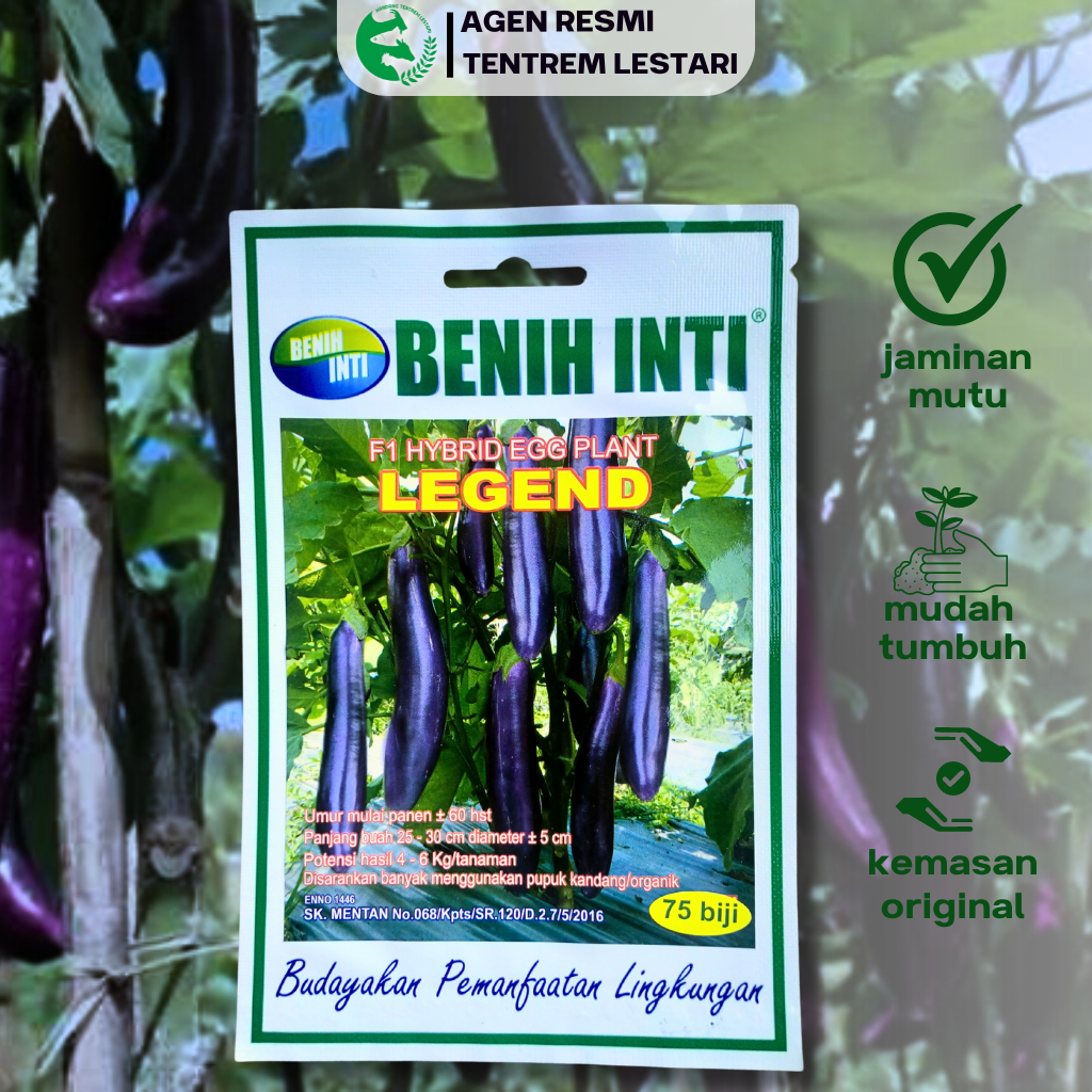 Benih Unggul Terong Ungu LEGEND 75 Biji Cap BENIH INTI Tahan Penyakit & Unggul