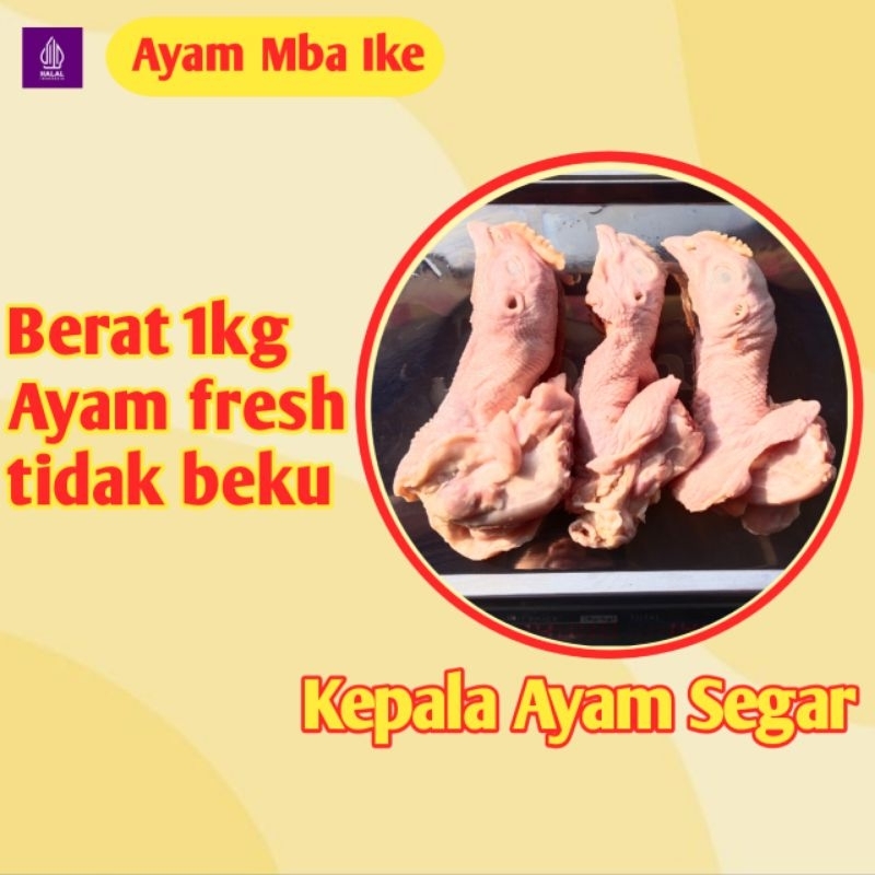 

Kepala Ayam 1kg Isi -+6 - Ayam Mba Ike