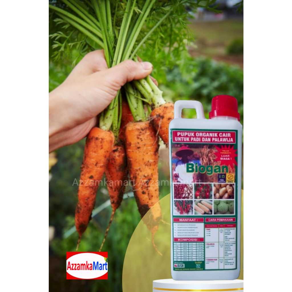 PUPUK ORGANIK CAIR POC  BIOGAN UNTUK PUPUK SAYURAN WORTEL  CEPAT PANEN