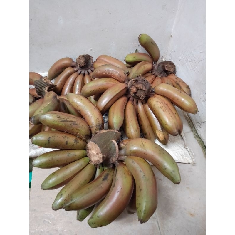 

Pisang Merah Jumbo Perkilo