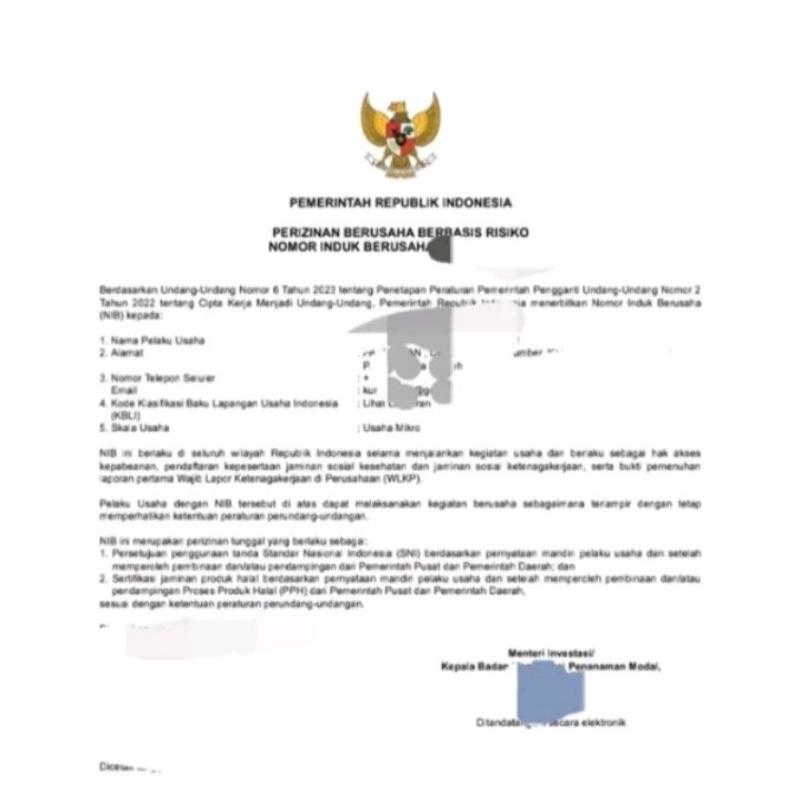 

nib pribadi||proses cepat||nib perorangan||