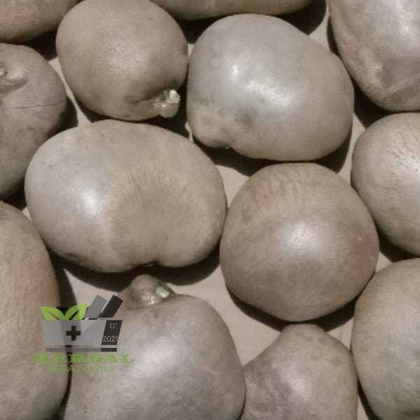 

Umbi Kentang Gantung Fresh 500 gram