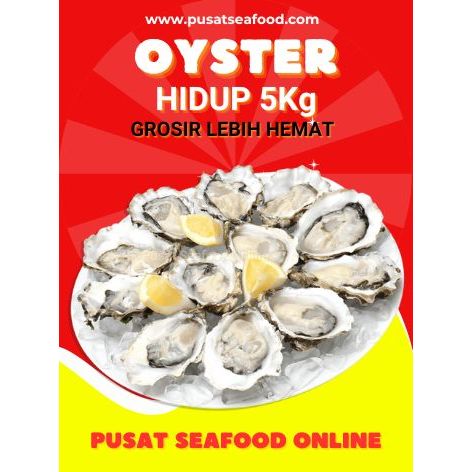 

[GROSIR] Pusat Seafood - Oyster Hidup Kerang Tiram Hidup Fresh Langsung Dari Laut