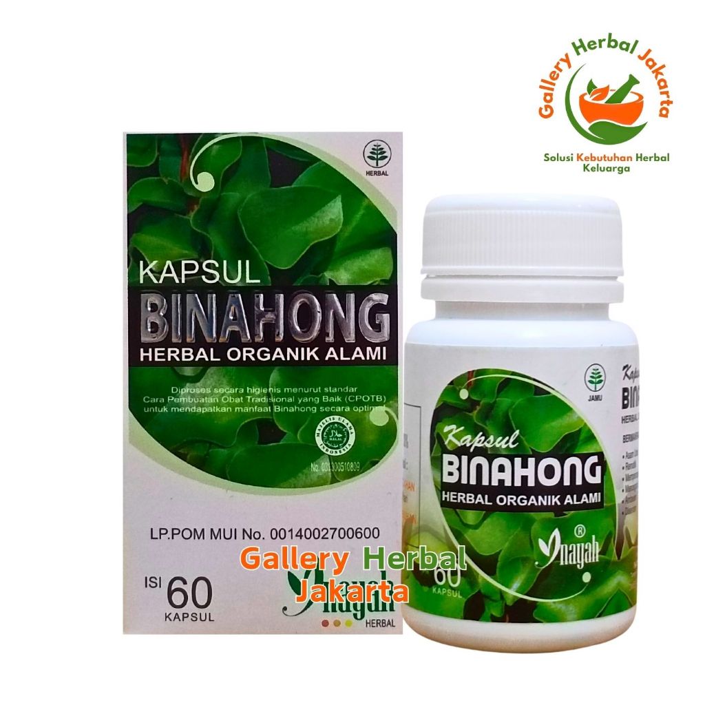 Kapsul Binahong Inayah 60 Kapsul