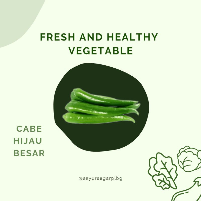 

Cabe Hijau Besar