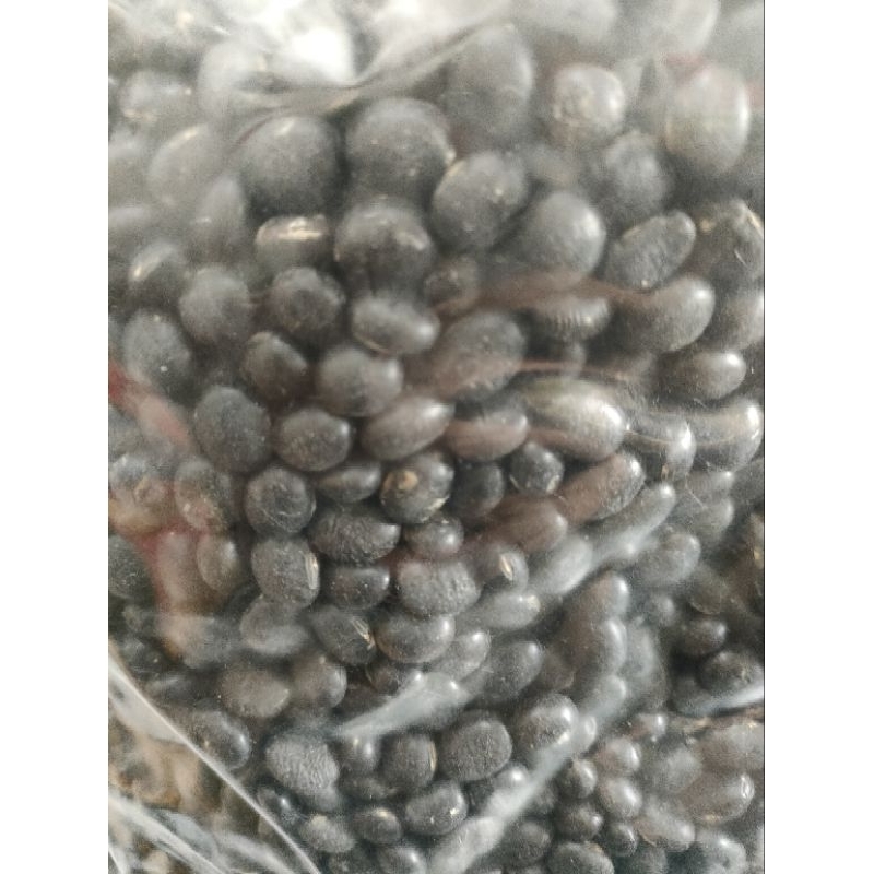 

kacang hitam black bean 100 gram