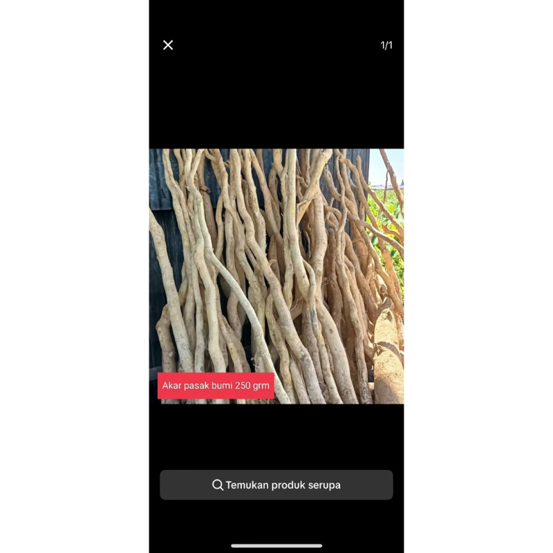 

Promo akar pasak bumi 500gram cuman 30ribu