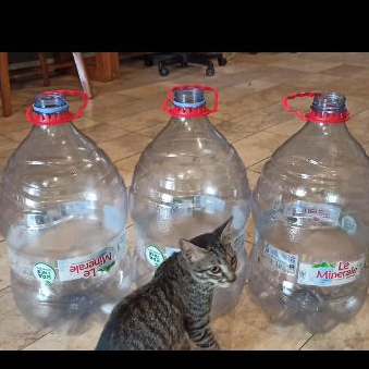 

Galon Kosong Bekas Le Minerale