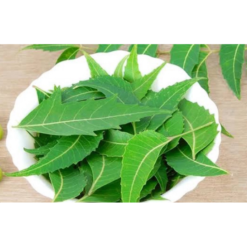 

Daun mimba segar petik langsung 1 kg-az