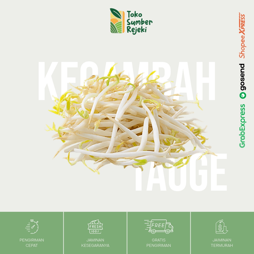 

Kecambah / Tauge / Tokolan Segar - Toko Sumber Rejeki Yogyakarta