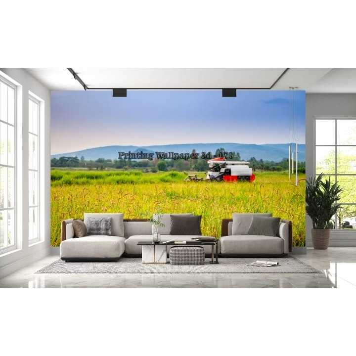 Wallpaper Custom 3d Pemandangan Sawah, Wallpaper Dinding Sawah Padi 3d