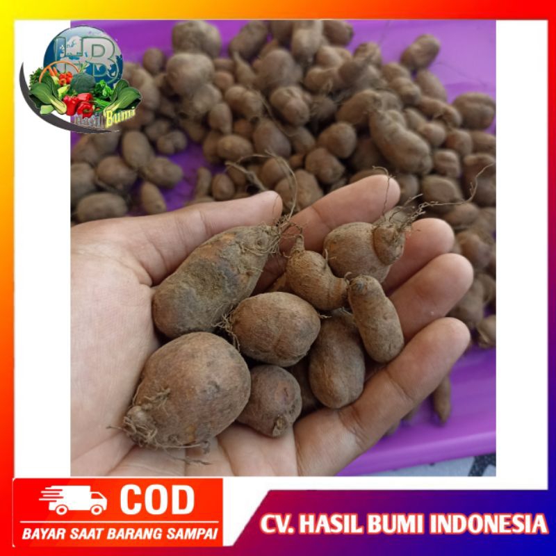 kentang hitam super 1kg kentang ireng segar