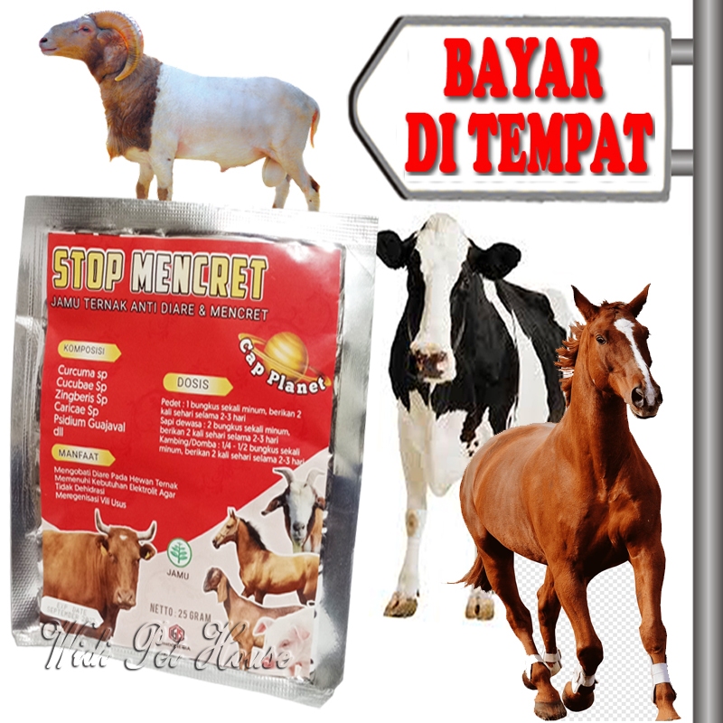 Obat Diare Sapi Kambing Kuda Sakit Pencernaan Stop Mencret Hewan Ternak