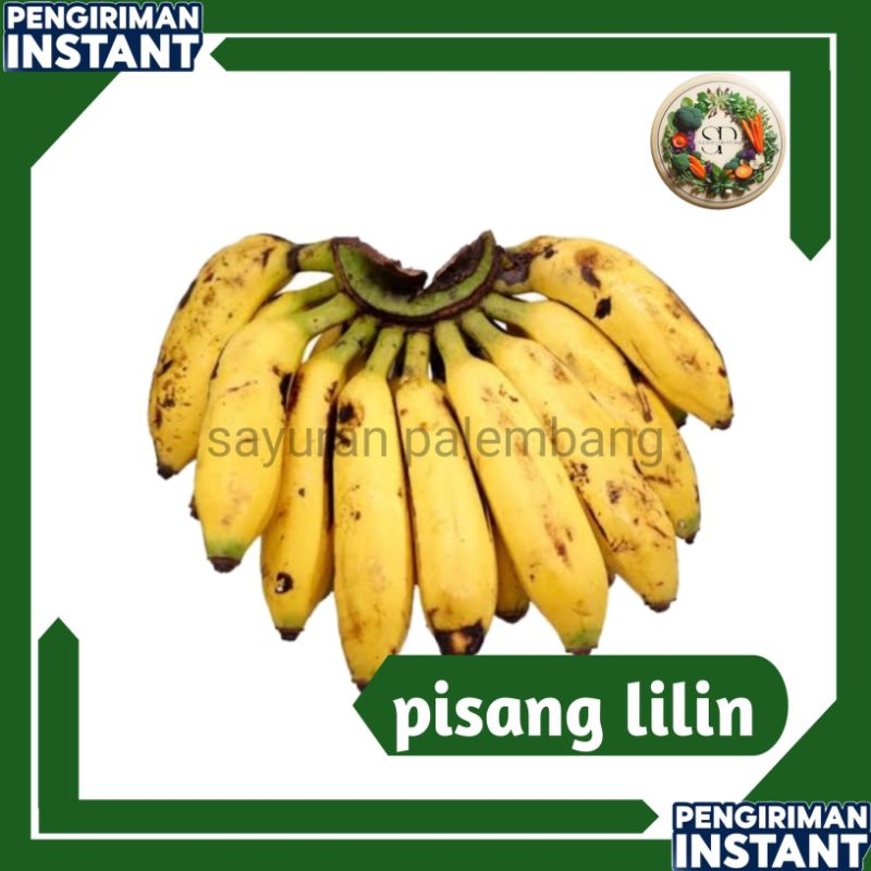 

pisang lilin 1sisir - sayuran palembang