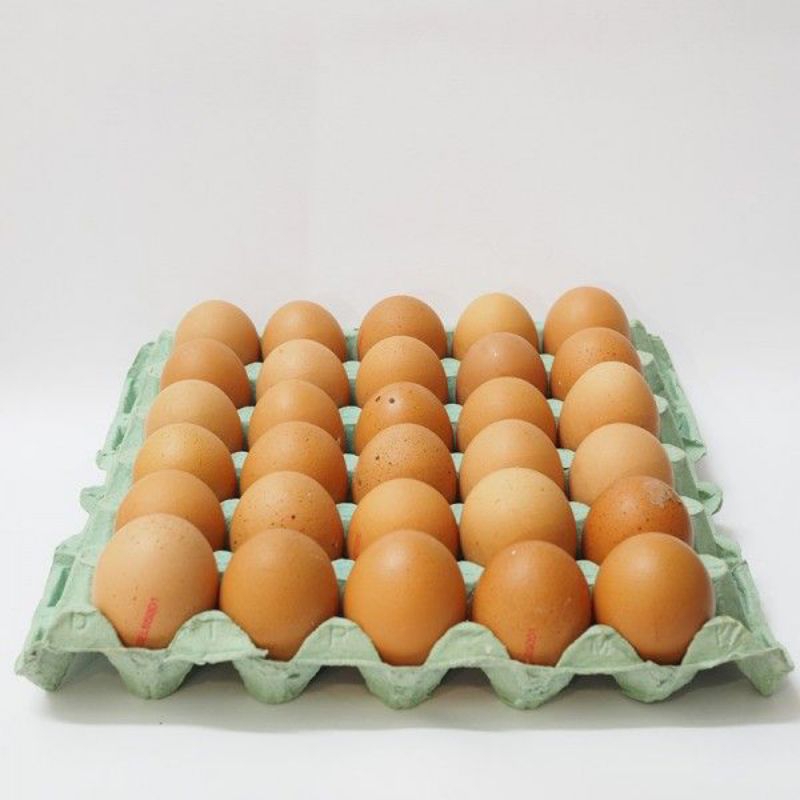 

TELUR AYAM 1 TRAY ISI 30 BUTIR
