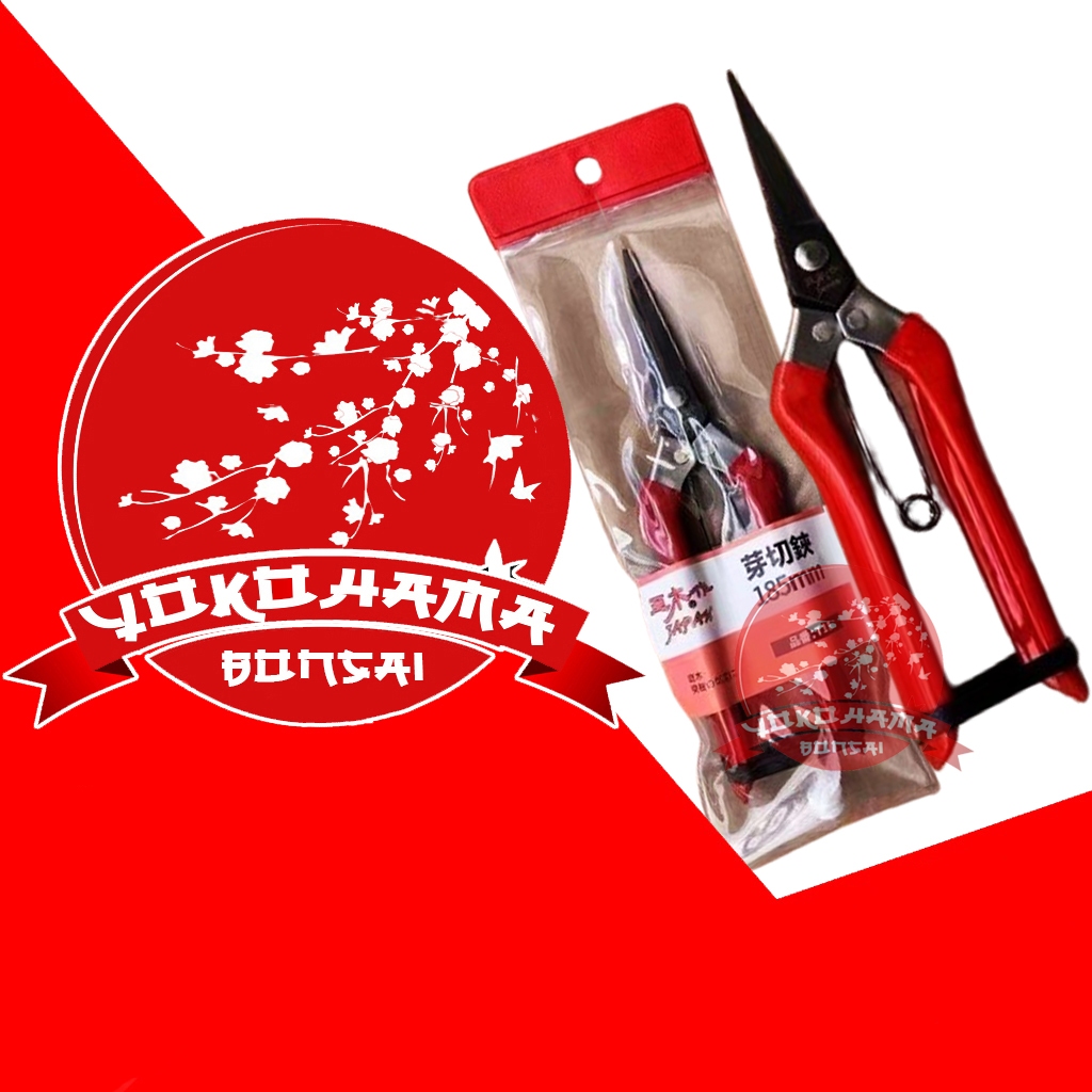 YOKOHAMA BONSAI-ALAT BONSAI GUNTING TAMAKI JEPANG T18