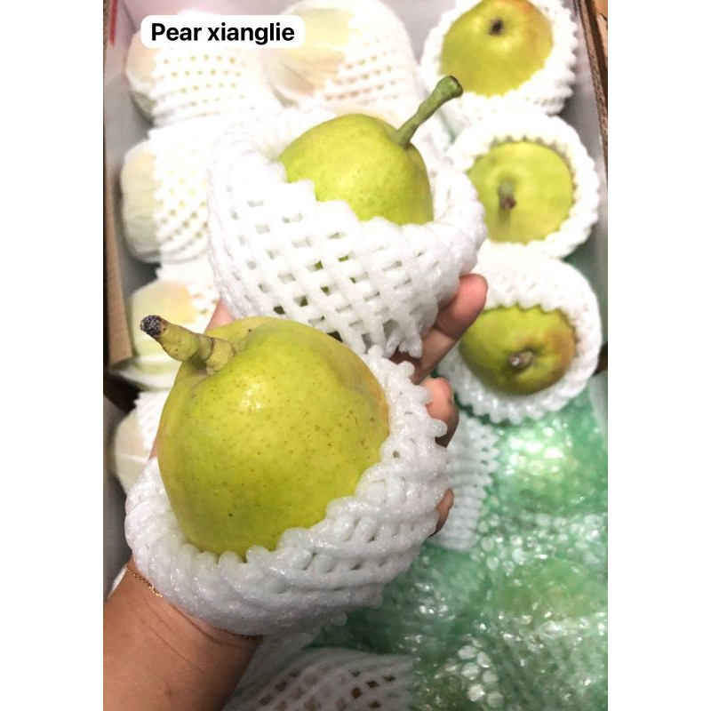 

pear xianglie /kg