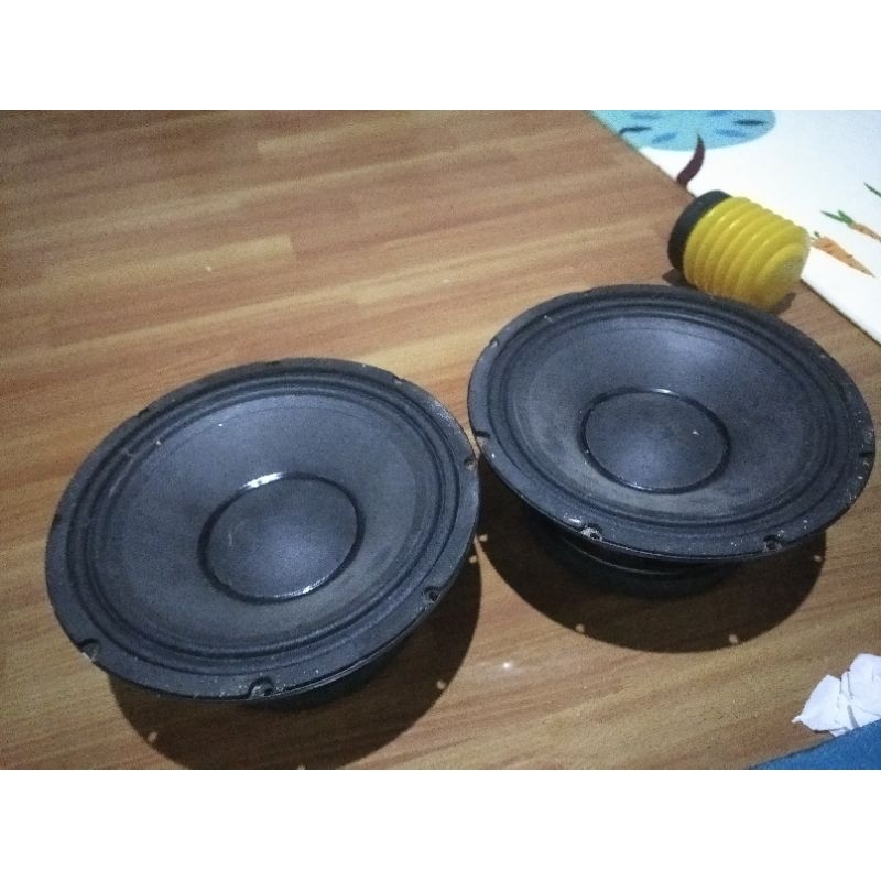 speaker ZQpro 10 inch