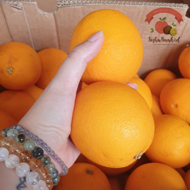 

SUNKIST VALENCIA | JERUK SUNKIST | JERUK POTONG