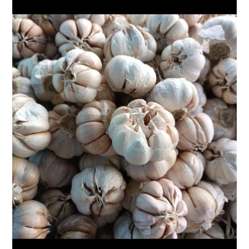 

bawang putih honan bersih 1kg