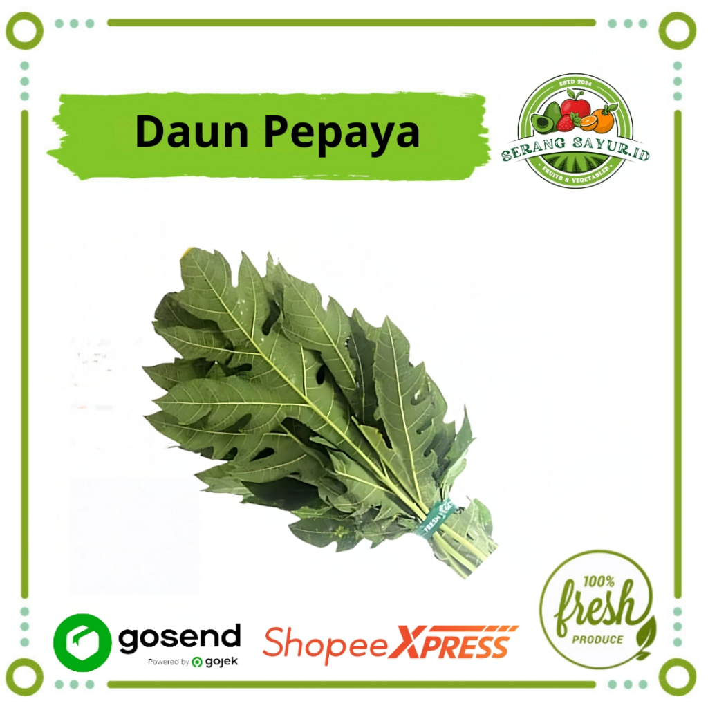 

[INSTAN SERANG] DAUN PEPAYA / IKAT