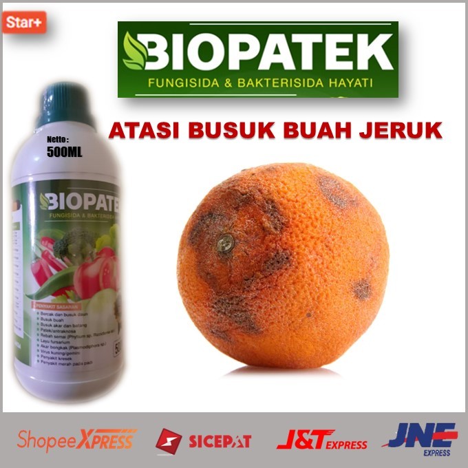 Harga Promo Pupuk Atasi Busuk Buah Jeruk Terbukti Secara Ampuh – Pupuk Cair Biopatek Fungisida & Bak