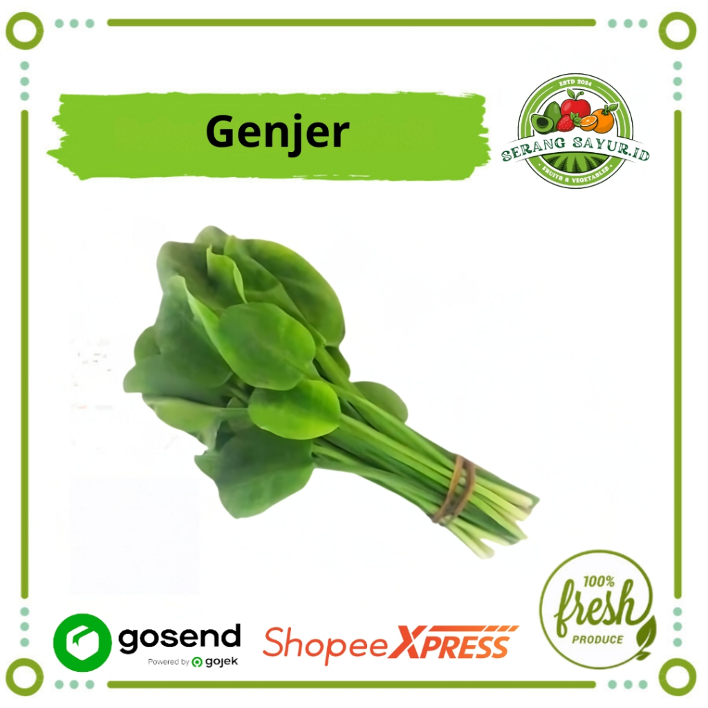 

[INSTAN SERANG] GENJER / IKAT