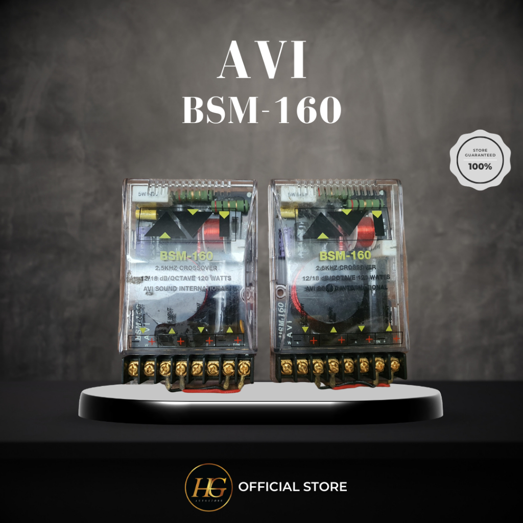 Pasif 2way AVI BSM-160 (second)