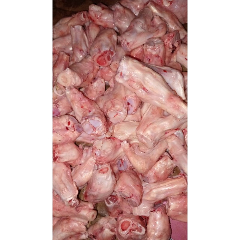 

Tulangan Kaki Kambing muda untuk Sop, tengkleng dll