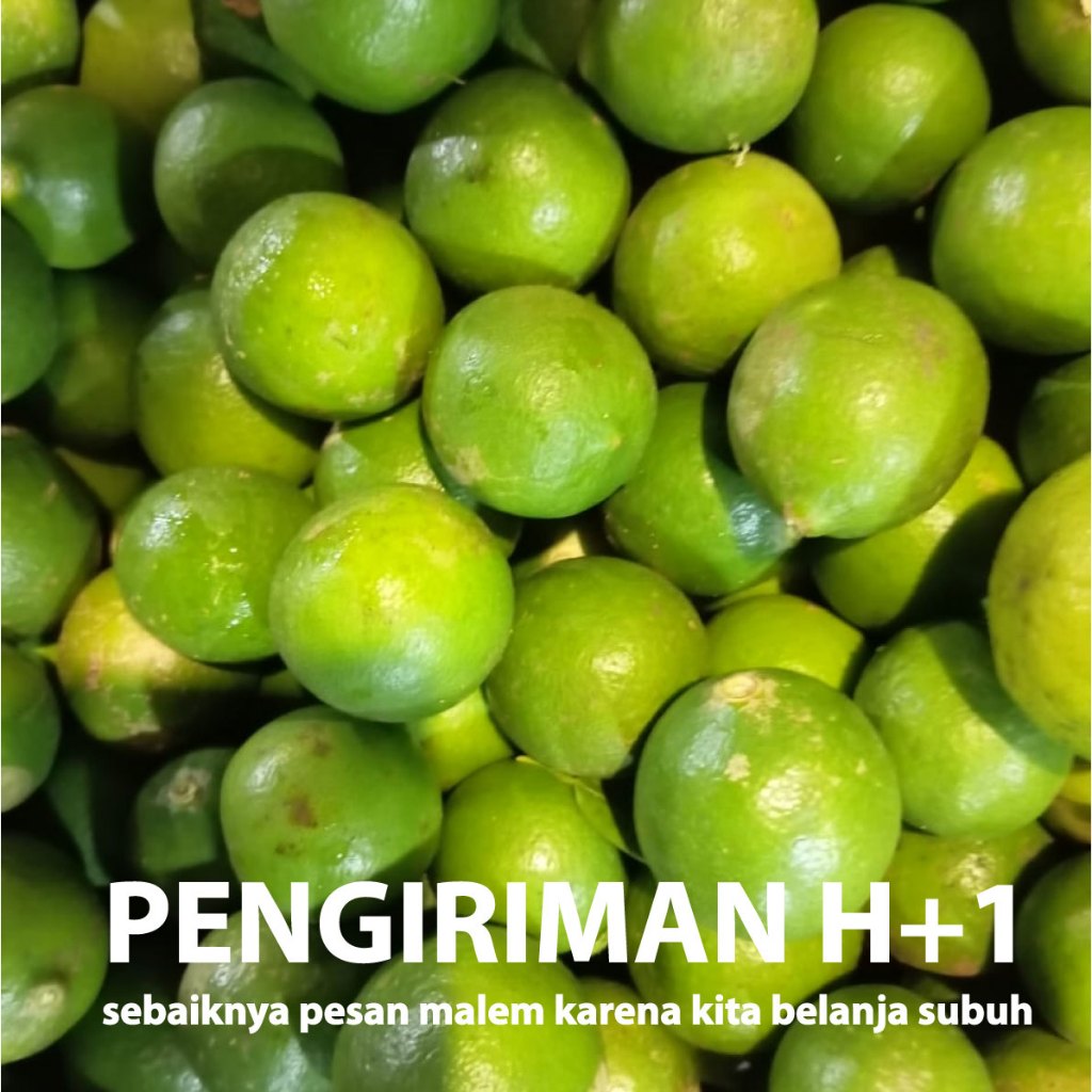 

jeruk songkit sonkit songkit kasturi cui