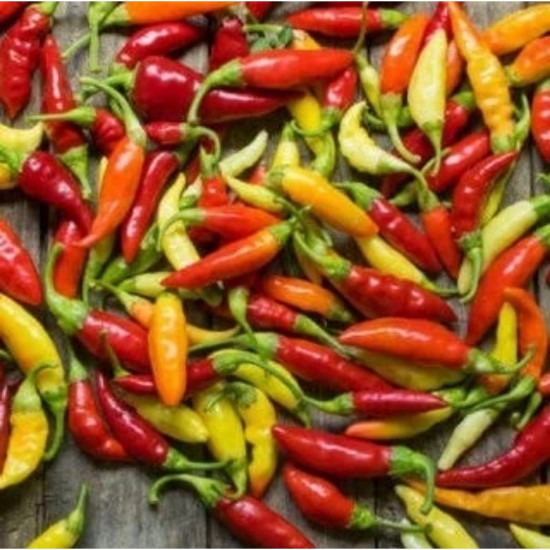 

Cabe Lombok Rawit Fresh