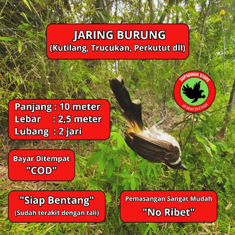 JARING BURUNG KUTILANG 10JARINBAHAN senar JARING BAHAN pe JARING kuat JARING BURUNG NYLON JARING NIL
