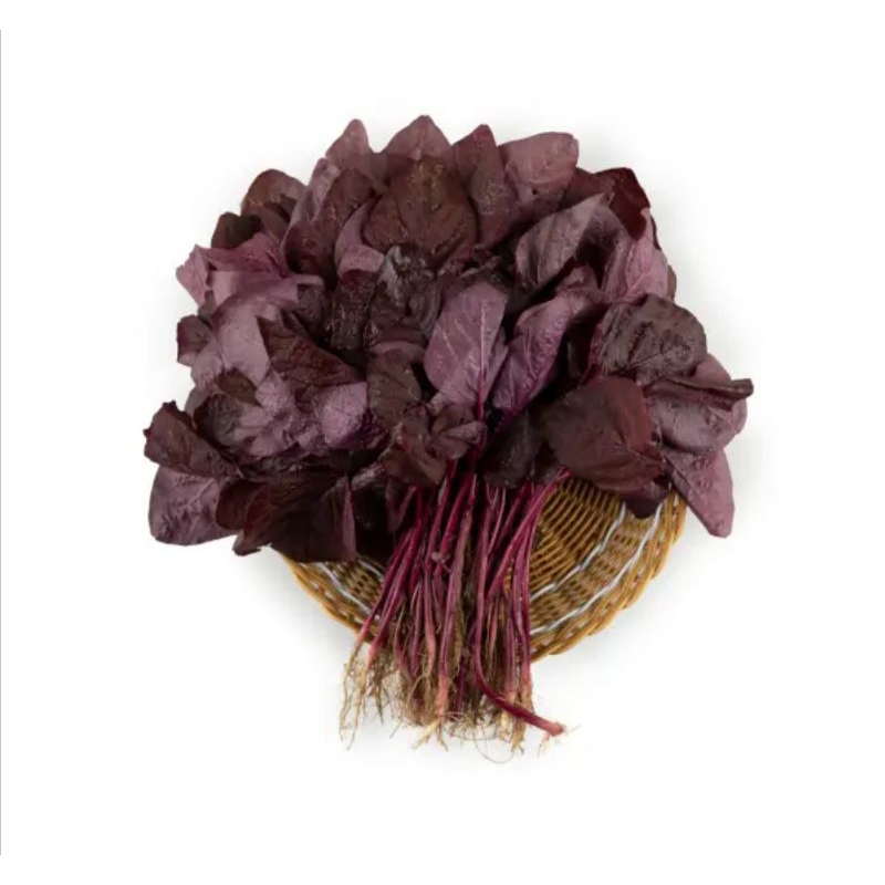 

bayam merah 230-250gram fresh