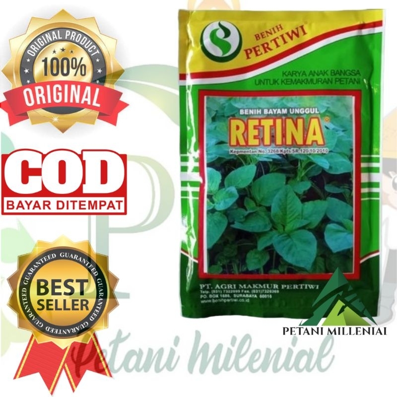 BENIH BAYAM DAKOTA - RETINA - BIBIT BAYAM CABUT PERTIWI