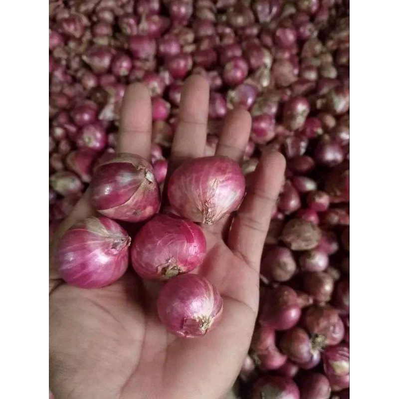 

Bawang Merah 1kg_Asli Petani Nganjuk