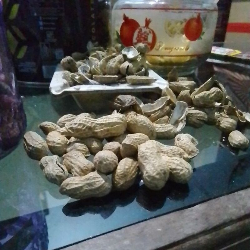 

kacang kulit