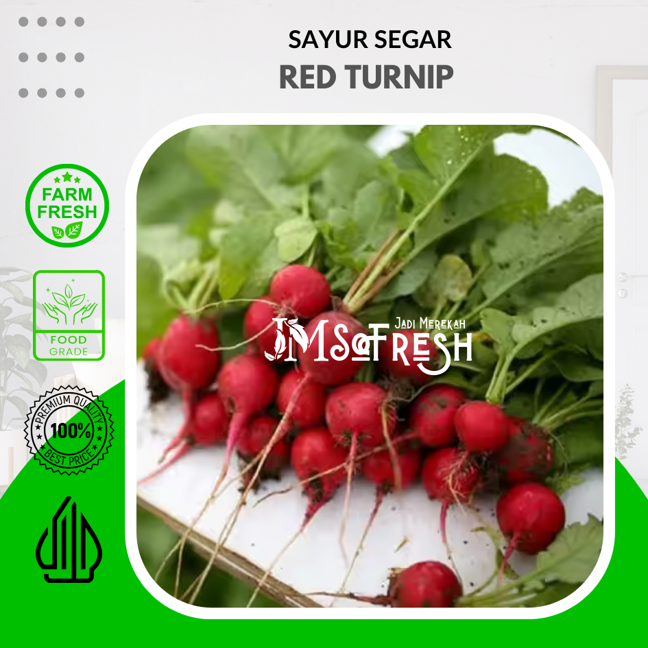 

[JM_SoFresh] 1KG Turnip Merah / Red Turnip