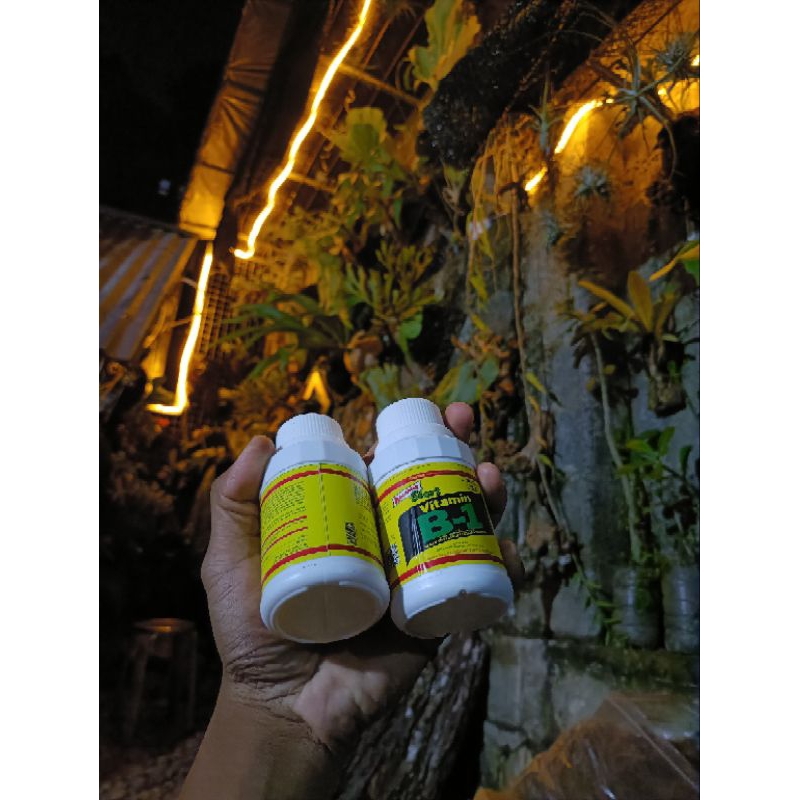 vitamin b1 untuk tanaman hias