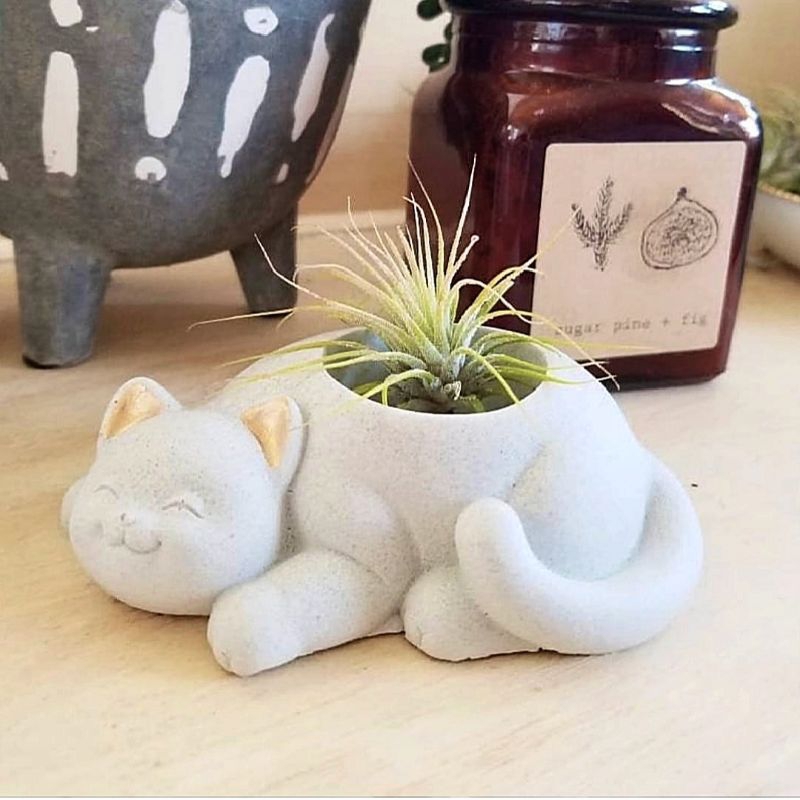 Pot Karakter Kucing / Pot Mini Kaktus Sukulen / Pot Lucu Concrete Aesthetic