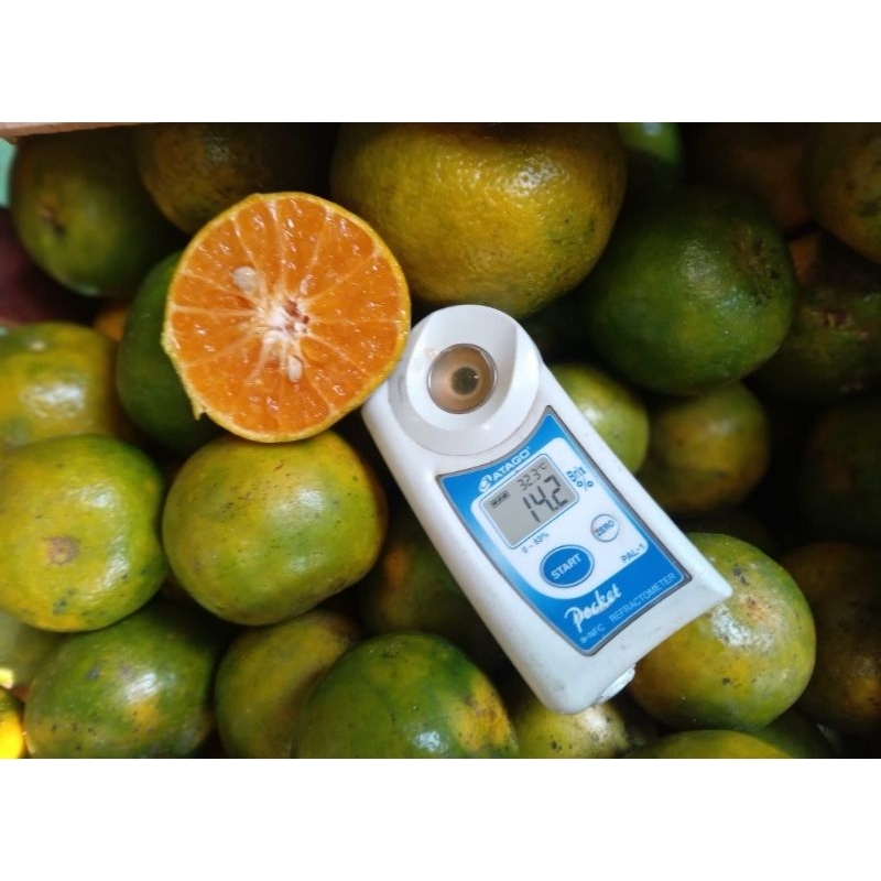 

buah jeruk siam madu / jeruk siem madu fresh