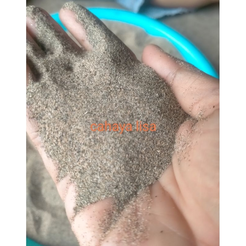 pasir halus asli pasir laut untuk aquarium dll