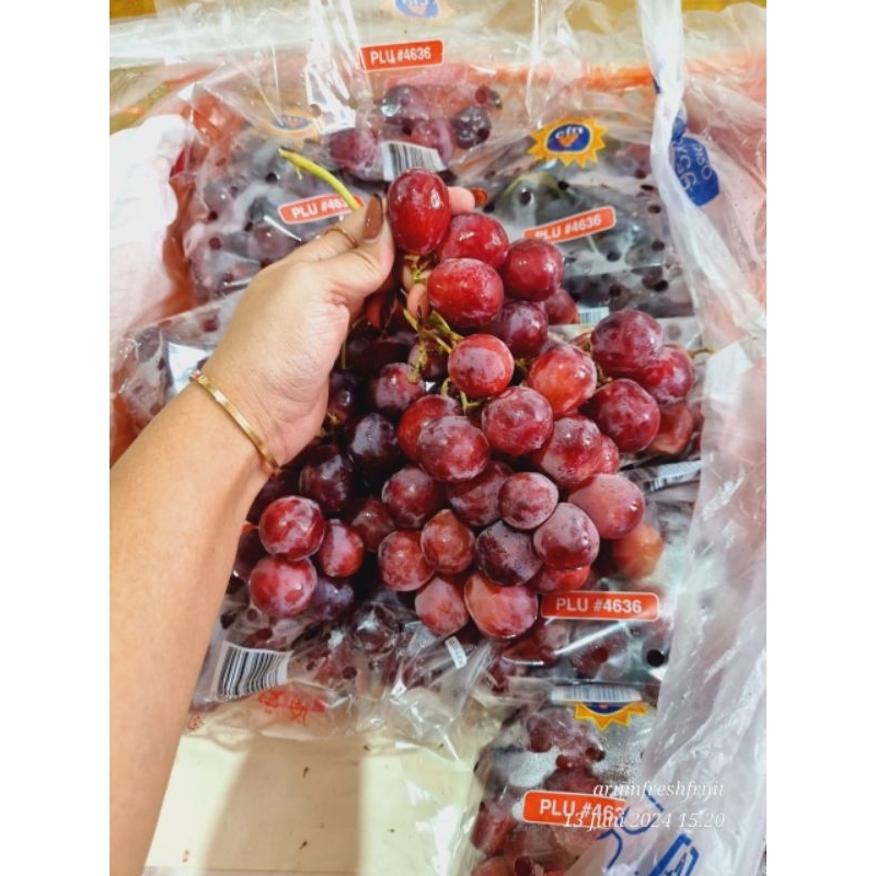 

Anggur Merah Import 1 kg Surabaya Best Seller