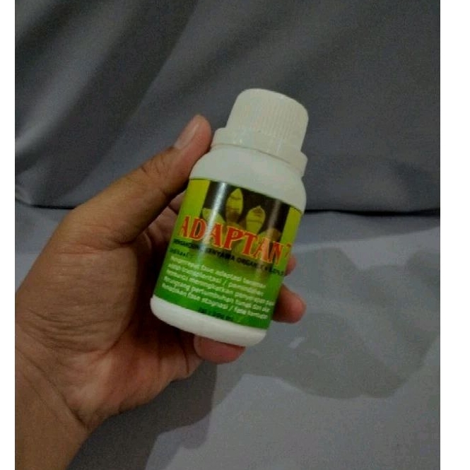 Adaptan Vitamin B1 Tanaman Anggrek