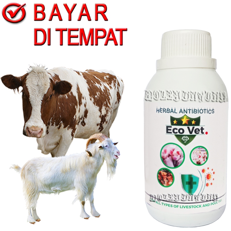 ECOVET Antibiotik Sapi Kambing Hewan Ternak Penambah Nafsu Makan Pengobatan Semua penyakit