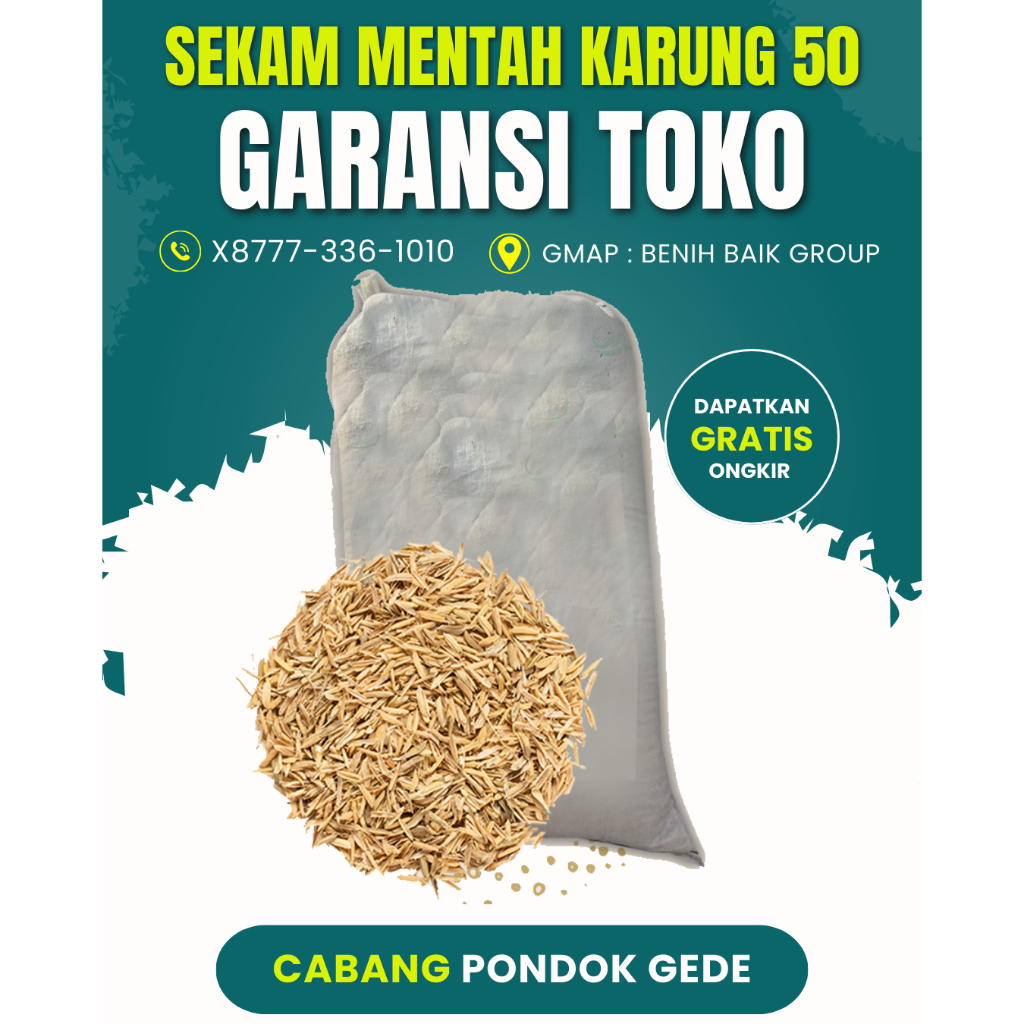SEKAM MENTAH (KARUNG) GROSIR PONDOKGEDE