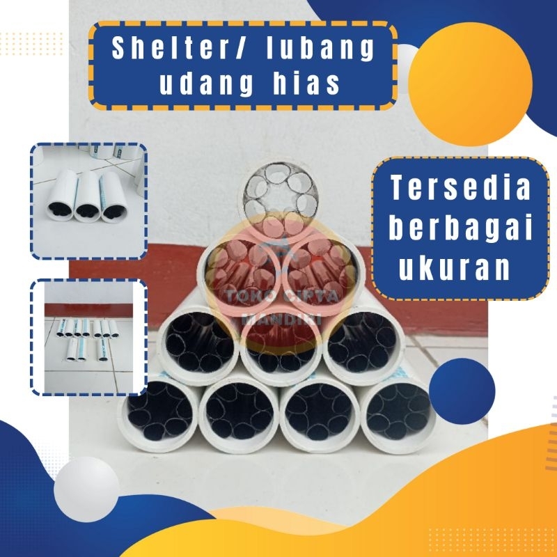 shelter lubang anak udang hias persembunyian udang hias shelter udang hias