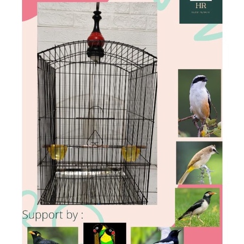 KF7 Sangkar Kandang KOTAK BESI NO 2 burung jalak cucak ijo  beo kacer