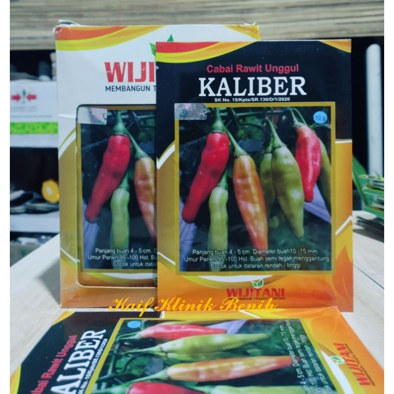 Benih Cabe Rawit KALIBER 10 Gram - Wijitani
